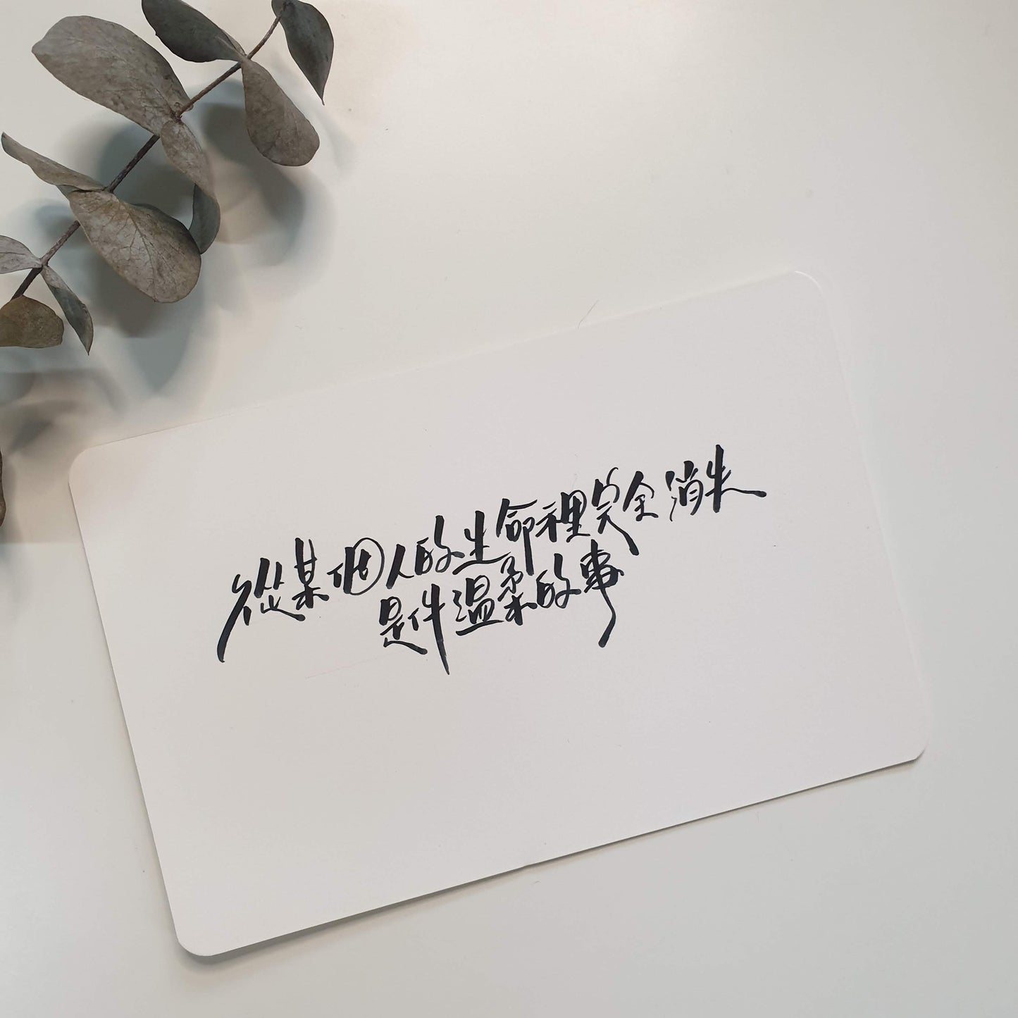 {25 MAY} Basic Modern Chinese Calligraphy Workshop | 现代中文手写工作坊-初級工作坊